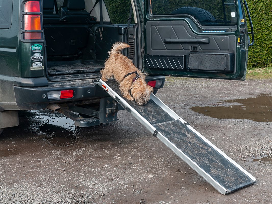 Dog Ramp