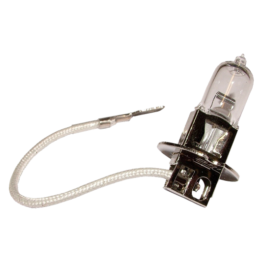 100W Bulb (Pair)