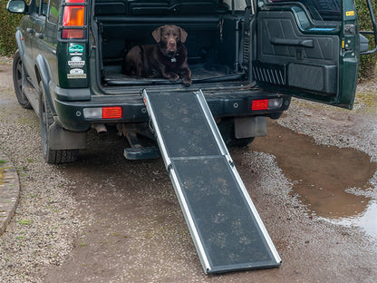 Dog Ramp