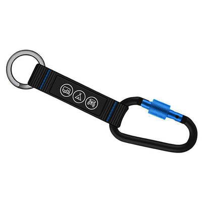 Carabiner Keyring