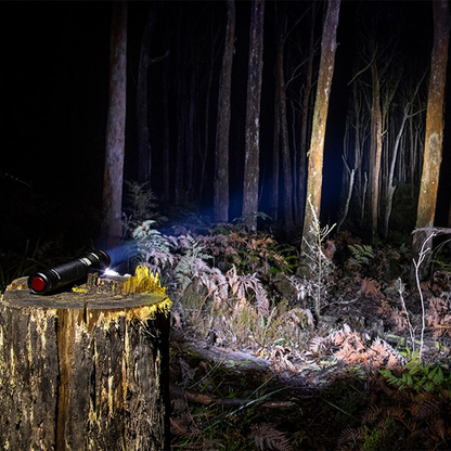 Pureview Flashlight