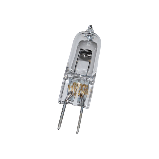 100W Bulb (Pair)